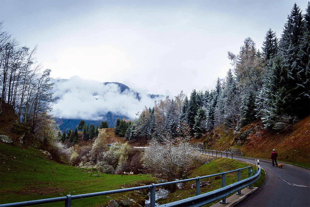 Nature, Landscape, Forest, Mountain, Travel, Switzerland