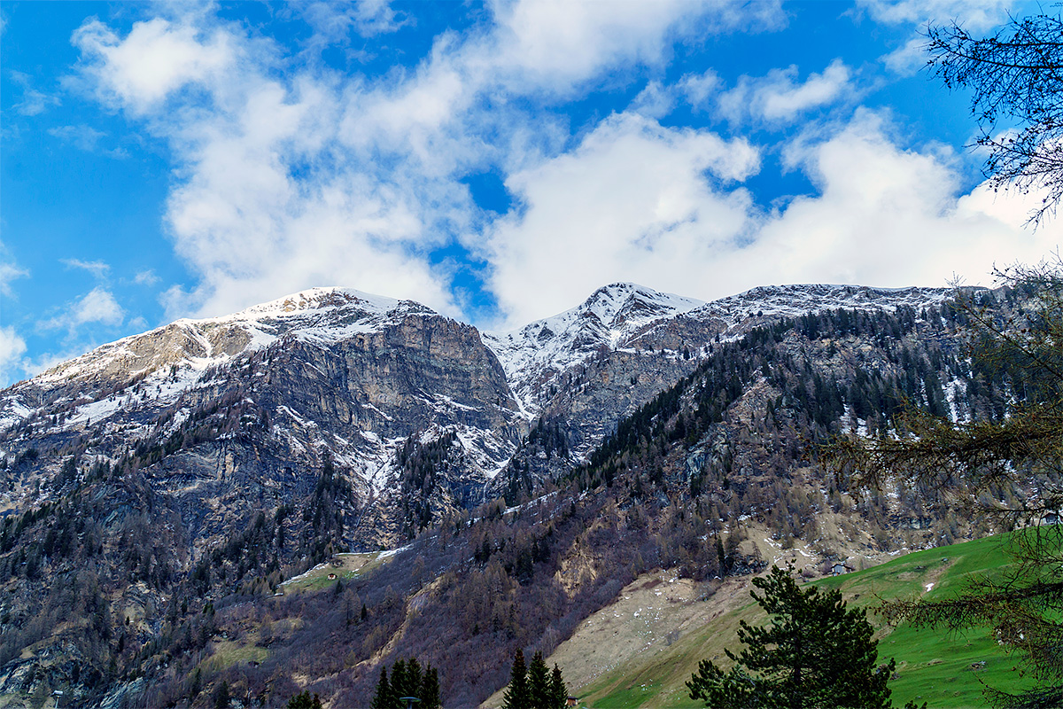 Nature, Landscape, Forest, Mountain, Travel, Switzerland