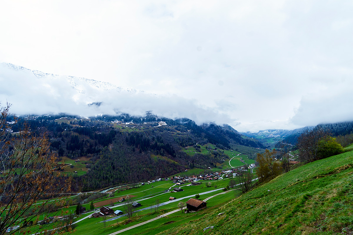 Nature, Landscape, Forest, Mountain, Travel, Switzerland