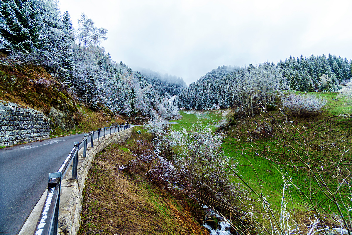 Nature, Landscape, Forest, Mountain, Travel, Switzerland