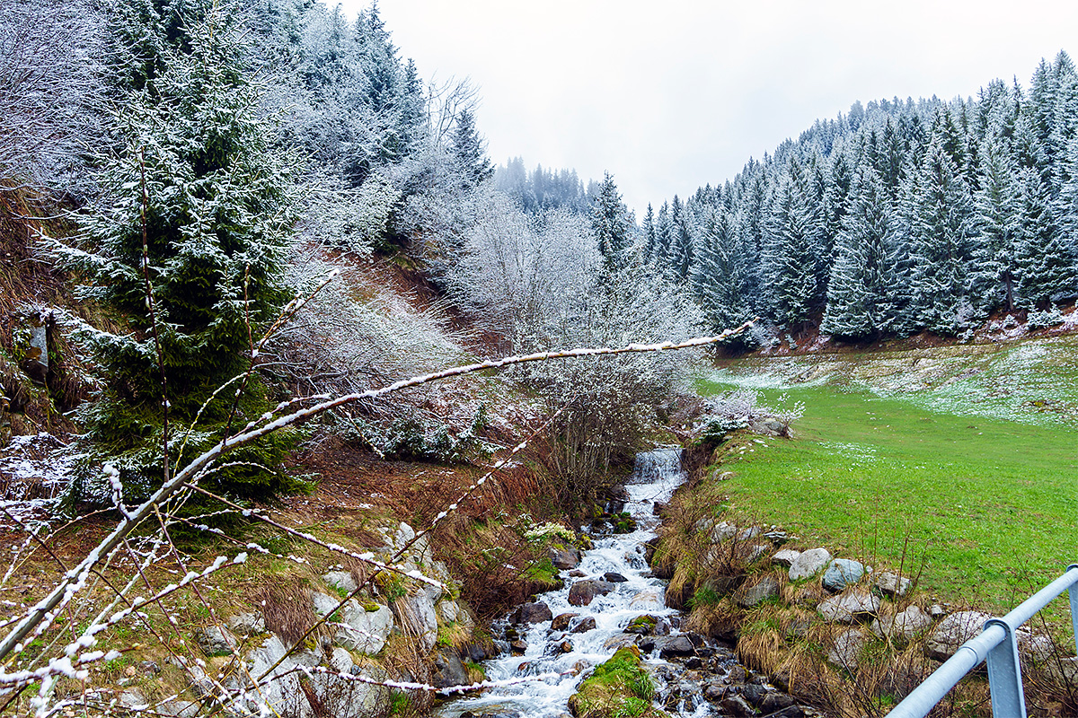 Nature, Landscape, Forest, Mountain, Travel, Switzerland