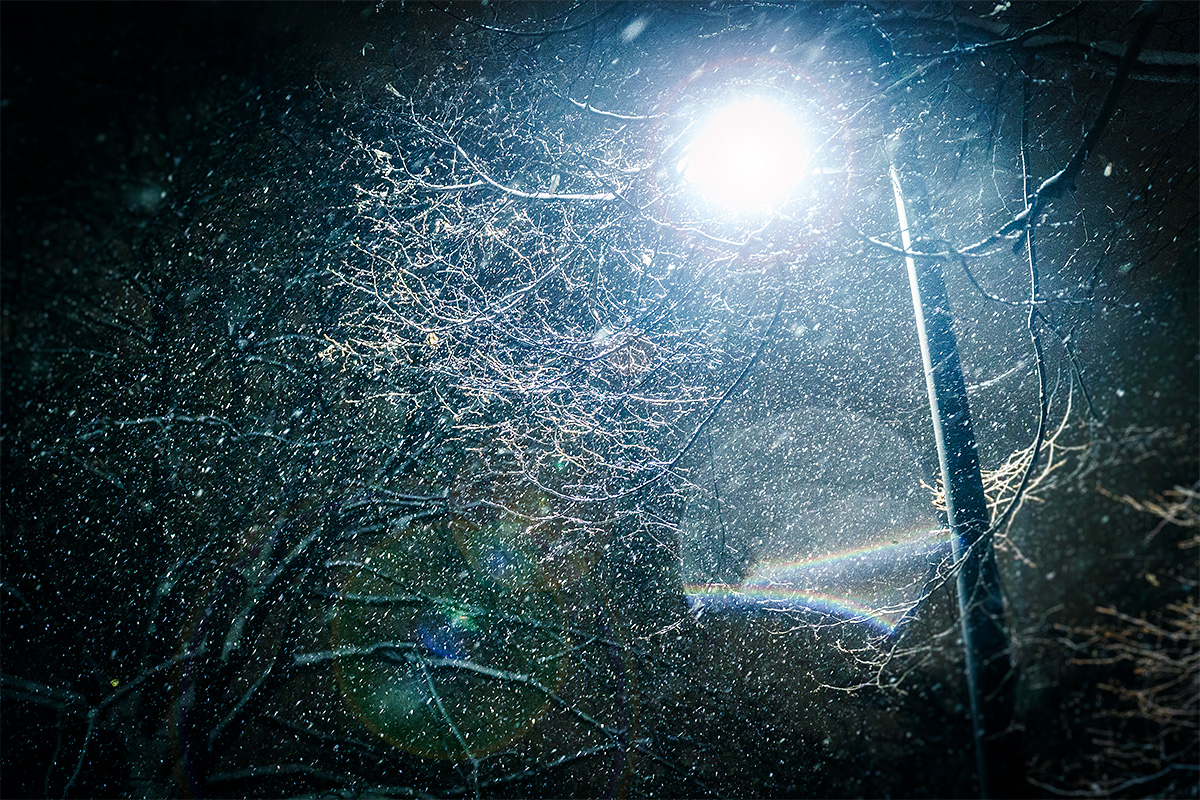 Residential, Snow, Night, Lights