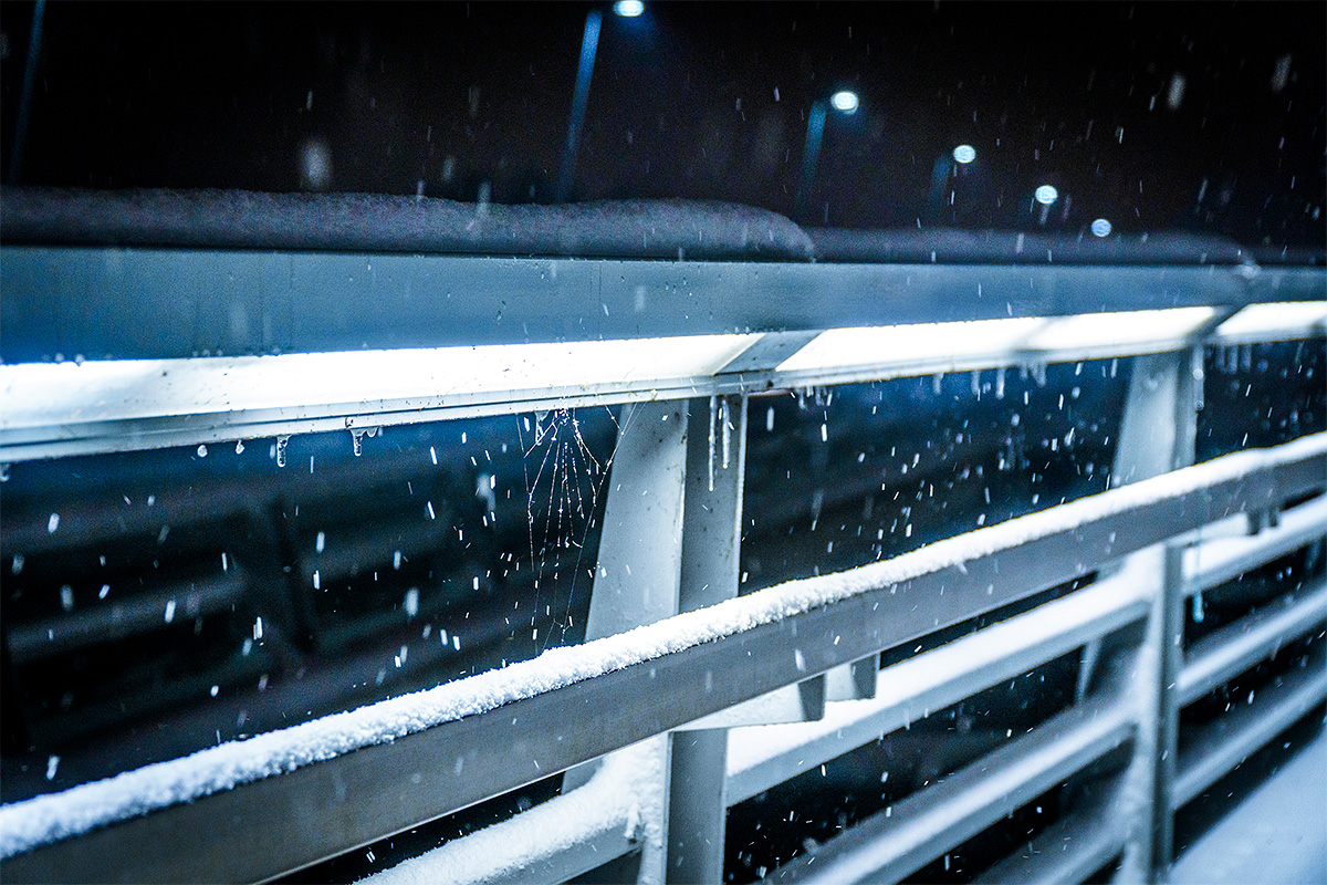 Residential, Snow, Night, Lights